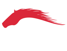 Alice Haynes Racing Logo